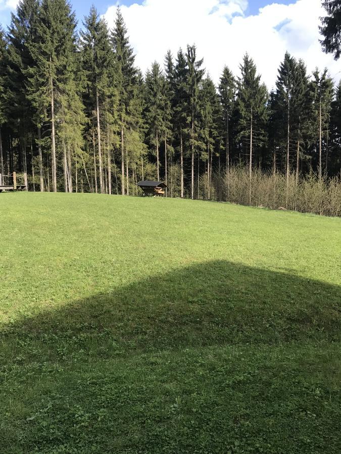 Chalet6Harrachov Se Saunou Eksteriør billede
